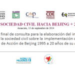 Taller final de consulta para la elaboración del informe de la sociedad civil sobre la implementación de la Plataforma de Acción de Beijing 1995 a 20 años de su aprobación