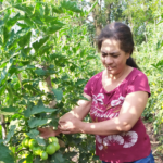 La mujer campesina y su participación en la economía en tiempos de pandemia