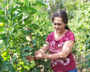 La mujer campesina y su participación en la economía en tiempos de pandemia