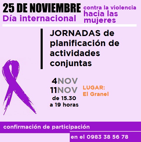 Planificación de acciones conjuntas para el 25 de noviembre