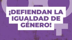 campaña OEA las mujeres estamos observando