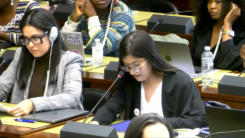 organizaciones presentan informe ante cedaw